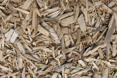 biomass boilers Garnfadryn
